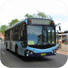 Punchbowl buses in TfNSW livery